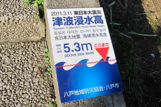 42_平成の東日本大震災では5.3メートルまで！