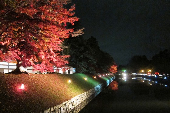 25_綺麗な彦根城ライトアップでした