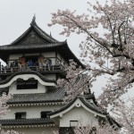 39_国宝犬山城と桜