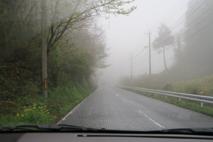 42_霧がすごい